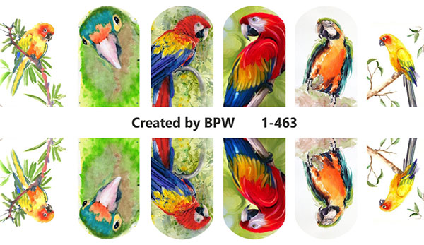 Decal nail sticker Parrots