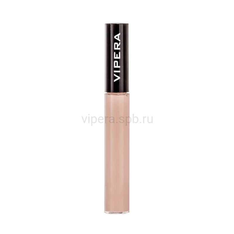 PROFESSIONAL VIP CONCEALER 01