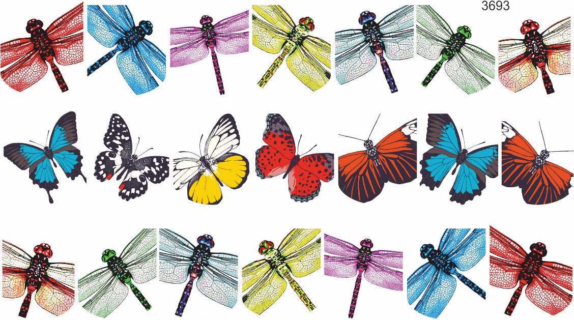 Decal sticker Color butterflies