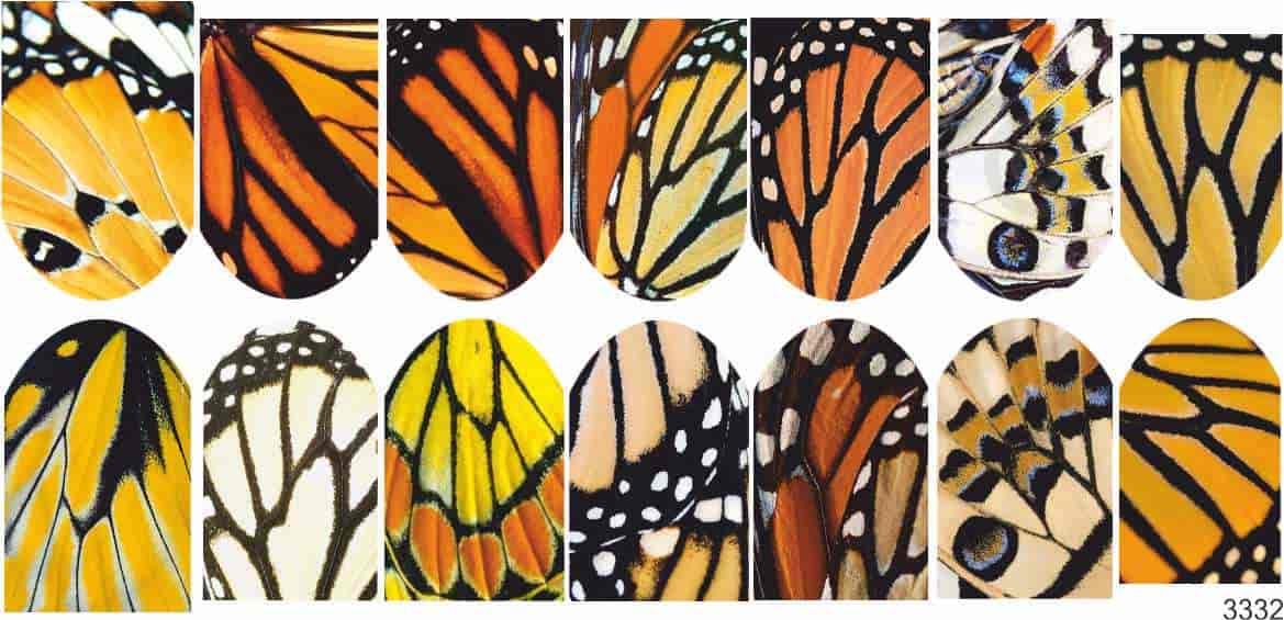 Decal sticker Butterflies