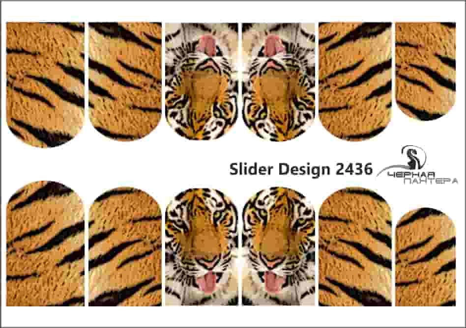 Decal nail sticker Tiger