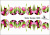 Decal nail sticker Tulips