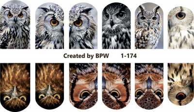 Decal nail sticker Owls