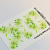 Decal sticker 3D Green Liliac