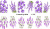 Decal nail stickers Lavender